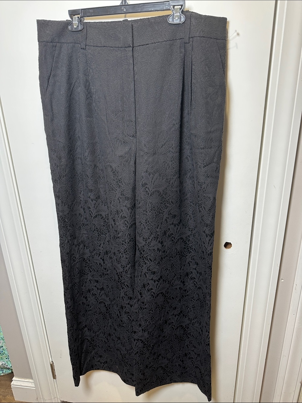 Favorite Daughter Black Lace pants (22)